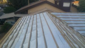 20161026_170112 (Medium)
